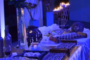 Vida Plena