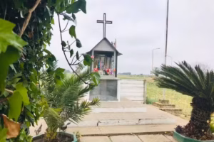 VIRGENCITA