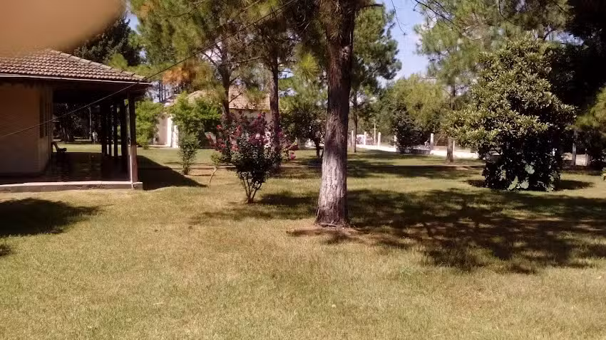 vision de aguila